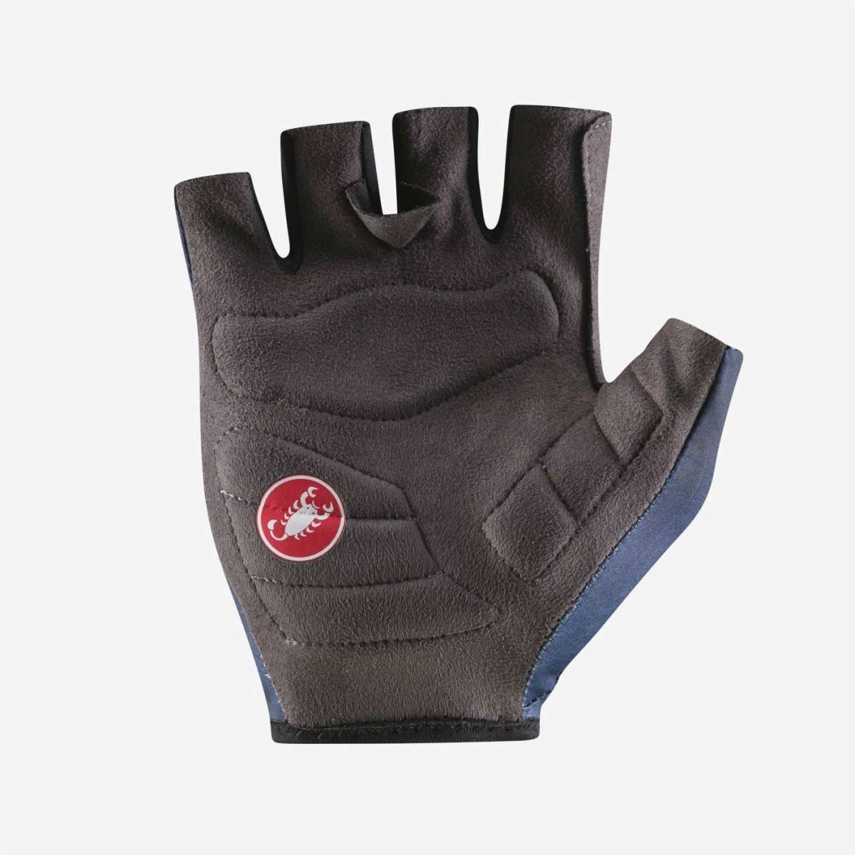 GANTS RACE SHORT ITALIA
